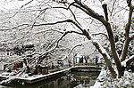 西湖雪景