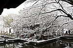 西湖雪景