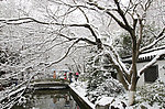 西湖雪景