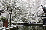 西湖雪景