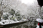 西湖雪景