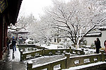 西湖雪景