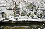 西湖雪景