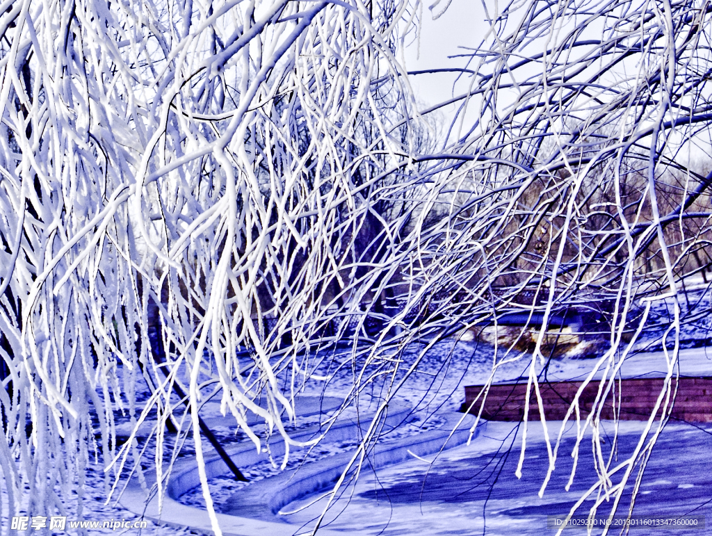 雪景