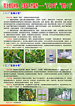 防治橡胶树病 虫