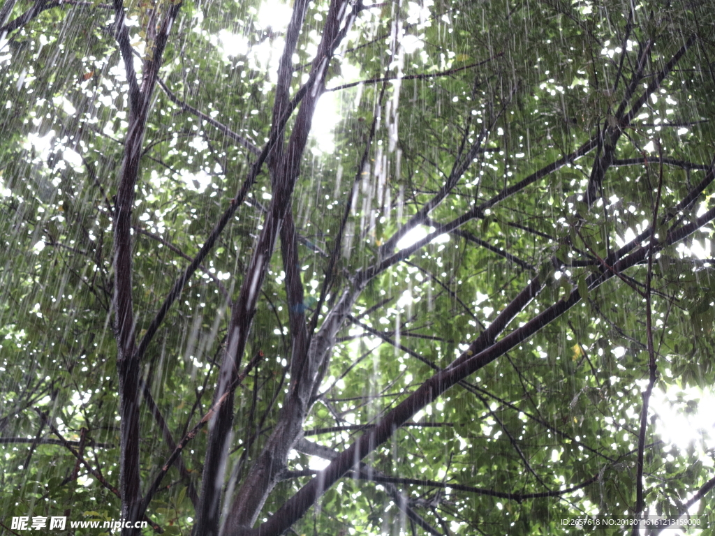 大雨