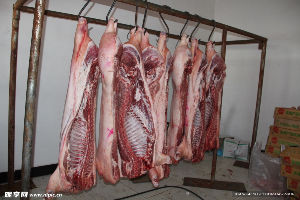 猪肉 鲜肉