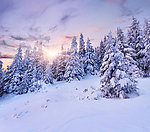 雪景