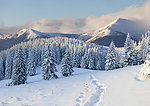 雪景