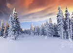 雪景