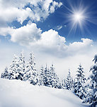 雪景