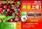 栗子彩页