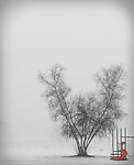 雪景意境摄影