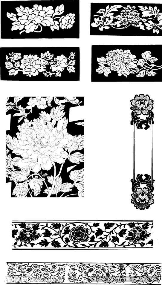 植物 花纹 花 牡丹