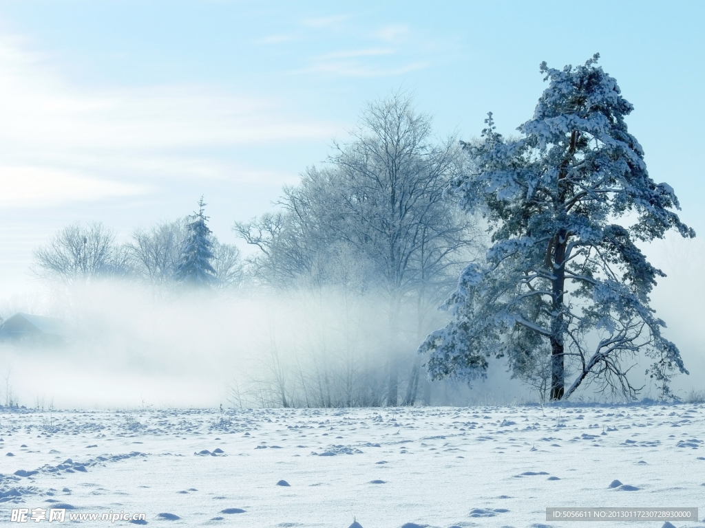 雪景