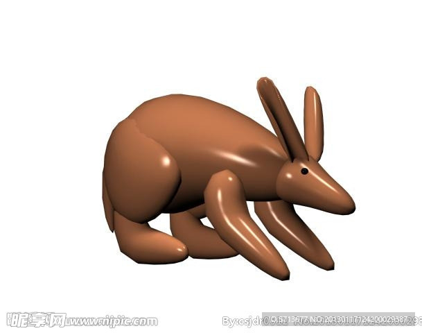 兔子模型