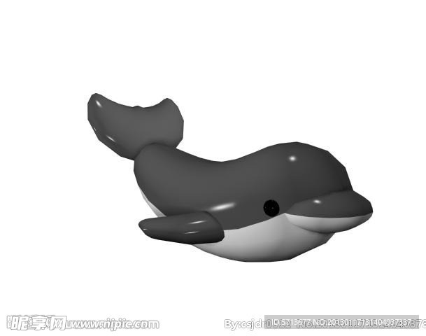 海豚模型