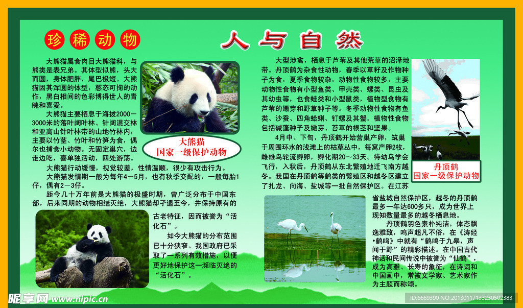 人与自然