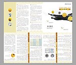 中国金币五折页