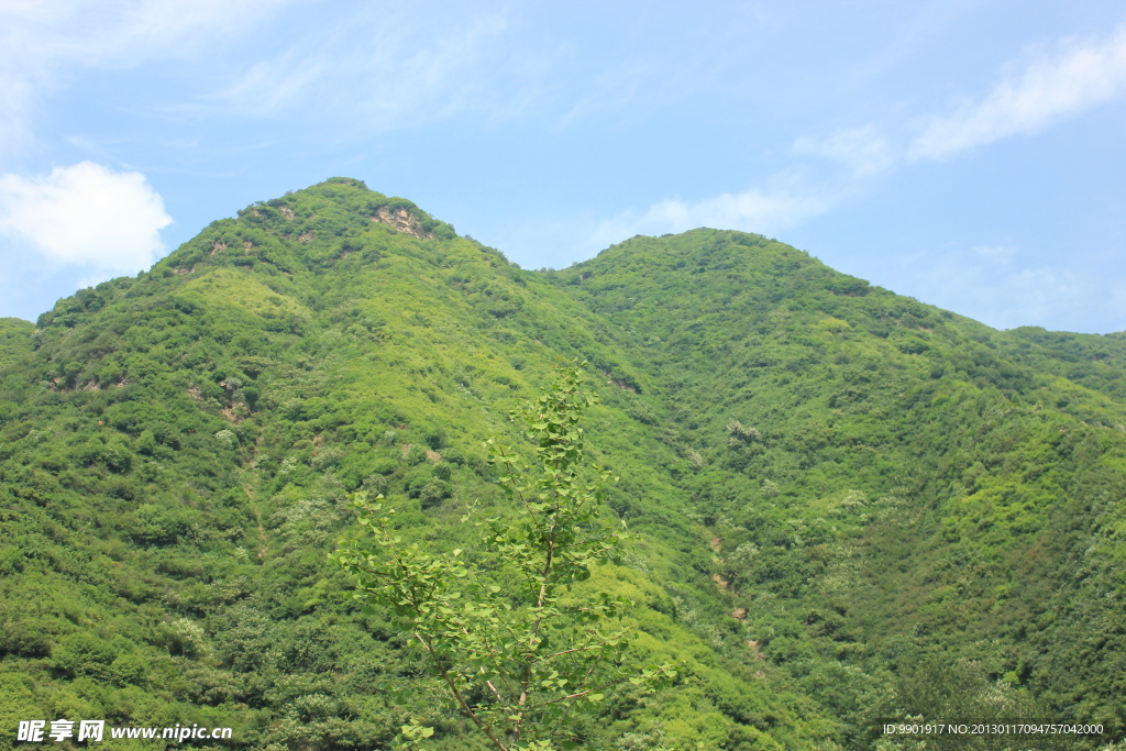 碧绿大山