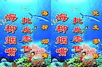 海柳海报