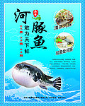 河豚鱼海报