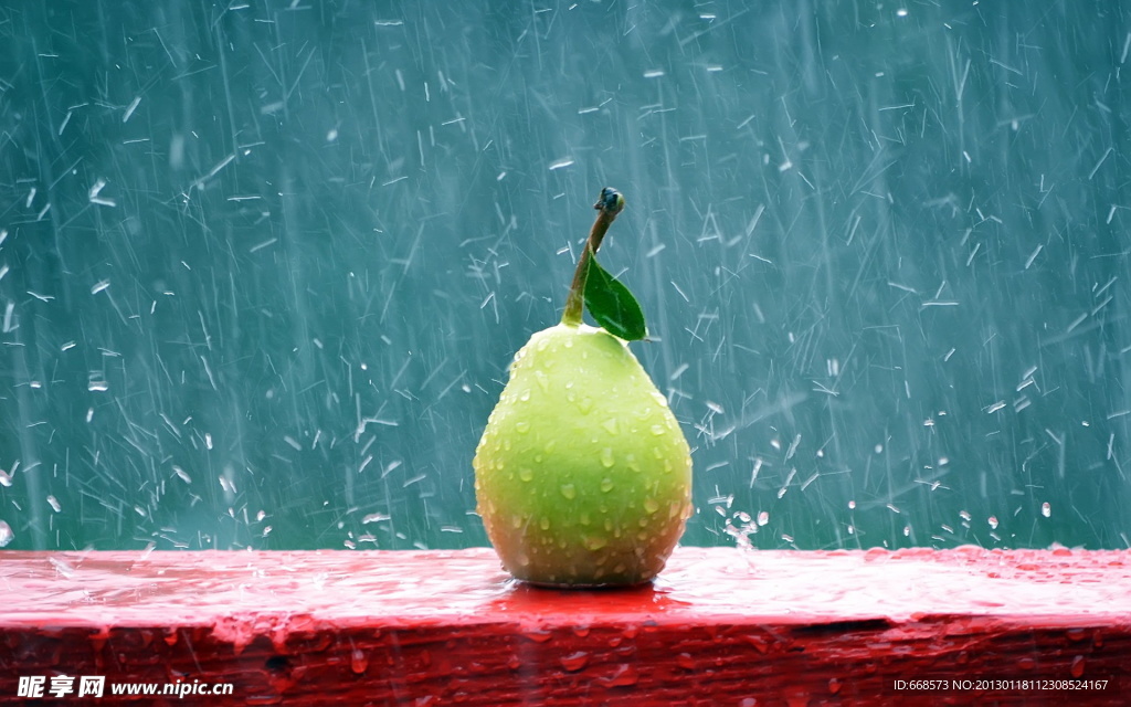 雨中的鸭梨