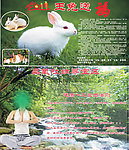玉兔送福