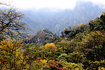 云雾山景