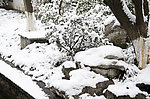西湖雪景
