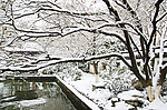 西湖雪景
