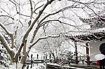 西湖雪景