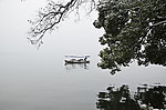 西湖风景