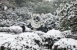 雪景