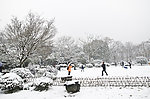 雪景