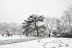 雪景