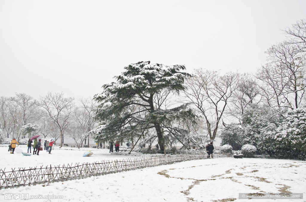 雪景