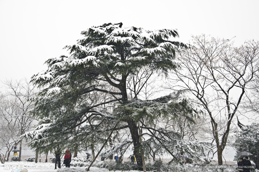 雪景