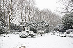 雪景