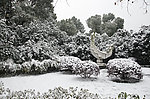 雪景
