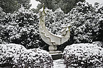 雪景