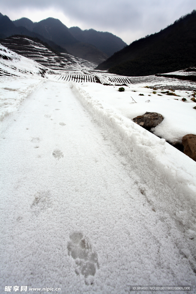 雪地兽印