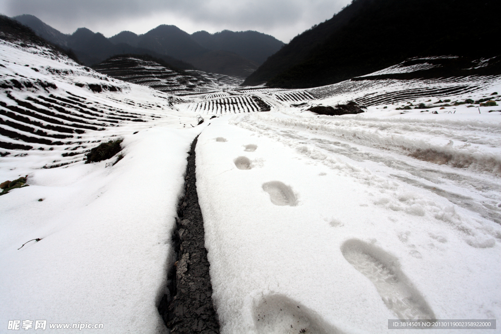 雪地脚印