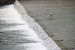湖水
