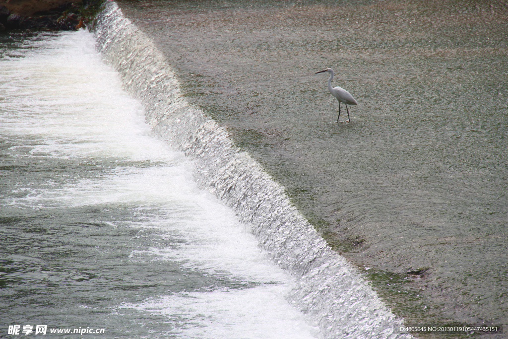 湖水