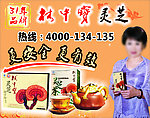 林中宝 海报