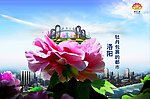 洛阳城市宣传