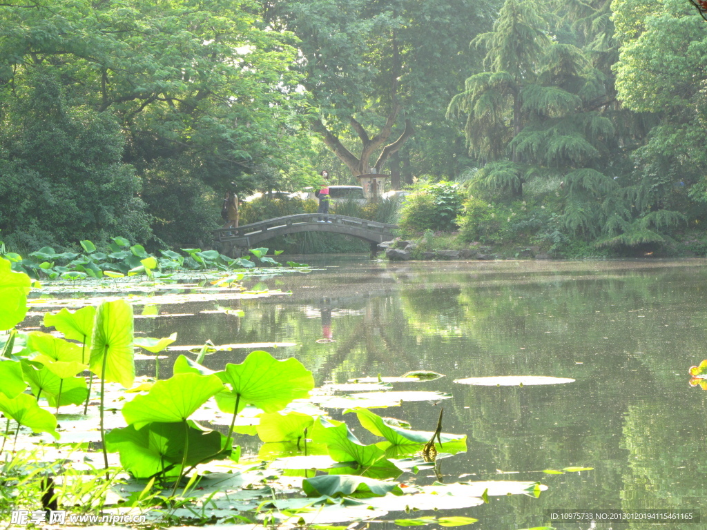 西湖湖面