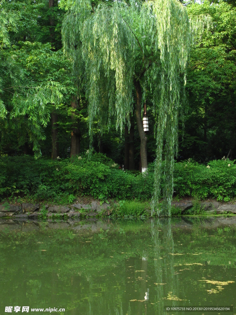 西湖湖面