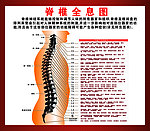 推拿脊椎保健